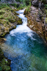 Vintgar Gorge in Slovenia