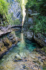 Vintgar Gorge in Slovenia