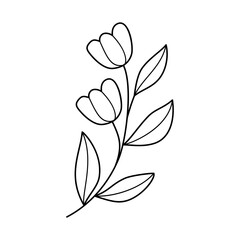 Doodle line art branch with leaves and flowers. Hand drawn twig, monochrome linear garden floral elements