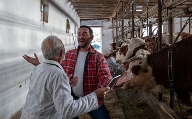 Veterinarian and farmer talking beside cows in stable
