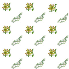 Watercolor composition of eucalyptus and succulent leaves. Pattern. White background. It can be printed on fabrics, when designing websites, when developing advertising banners 