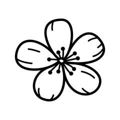 Doodle hand drawn flower. Line art botanical floral design element
