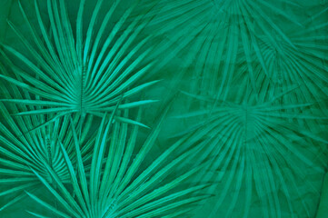 abstract dark turquoise background with palm leaves on a craft paper