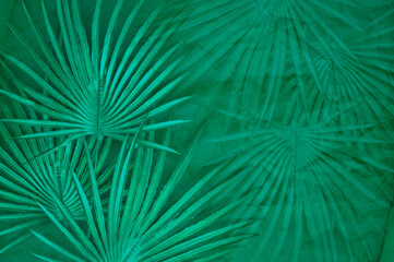 Obraz premium abstract dark turquoise background with palm leaves on a craft paper