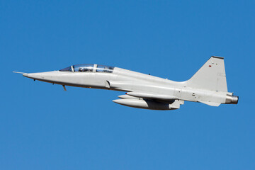 Fototapeta na wymiar Avión de combate de entrenamiento F-5