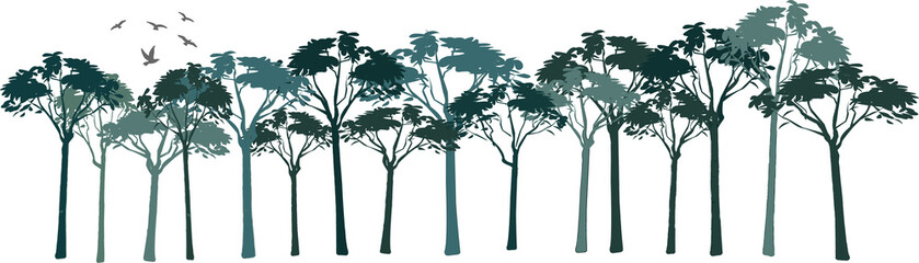 Obraz premium Dense forest drawing. Side by side sequential drawing of green trees.