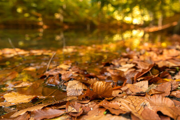 Yedigoller was taken under protection in 1965. It consists of 7 lakes, which are formed as a result of the sliding masses blocking the valleys, connected to each other by surface and underground flows