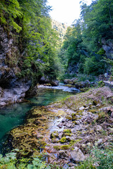 Vintgar Gorge in Slovenia
