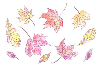 Tender autumn background. Falling autumn leaves. Maple, oak and ash leaves vector illustration. Abstract autumnal scene