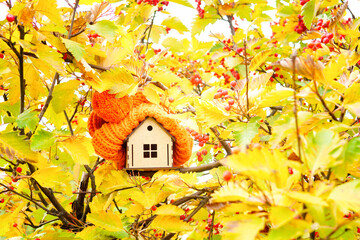 Toy house and chunky warm hat in fall foliage