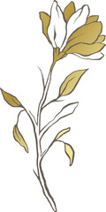 Magnolia gold flower line vector logo elegant wedding delicate floral nature wildflower 