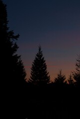 Sunset in mountains in forest