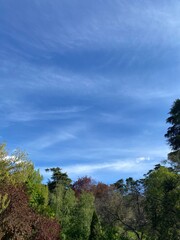 Obraz premium Blue sky in Madrid, 2022