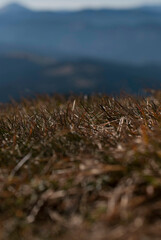 Fototapeta premium View on mountains through dry grass in autumn in sunny day