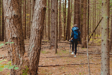 Young woman backpacker with poles hiking alone through the forest, back view