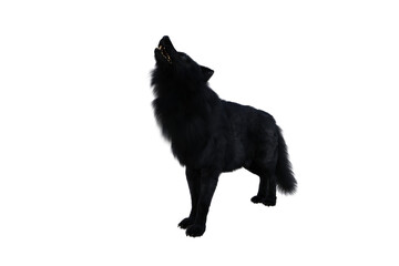 Black Dire Wolf howling. 3d illustration isolated on transparent background,