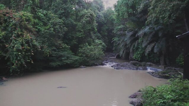 Small river in the Rainforest Tabin Wildlife Reserve