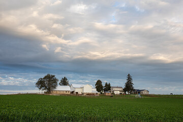 Obraz premium Amish farm in the middle of a field in the countryside of Holmes County, Ohio