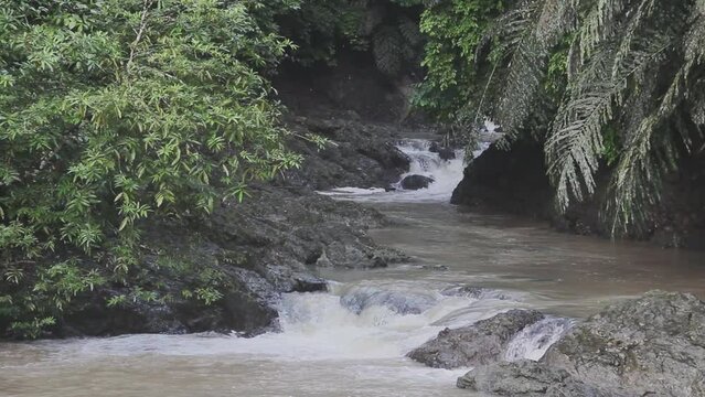 Stream in the Tabin Wildlife Reserve Malaysia