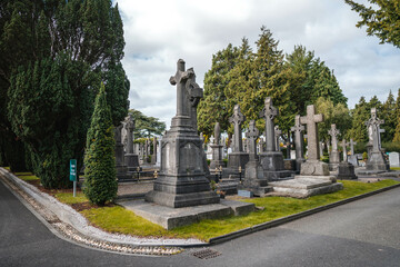 Tombstones in cemetery at dusk, Ireland