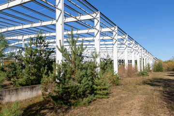 A new large production hall covered with large conifers. A clear sunny day.