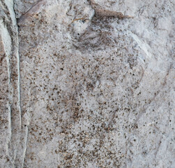 stone wall background