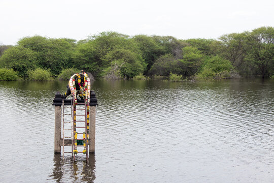 Purusha Miruga Theetham ( human face and lion body) in Thiruvathavur, Madurai, Tamil Nadu