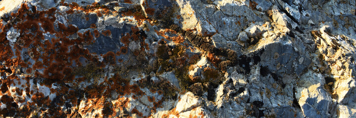 Abstract, natural and high resolution textures.