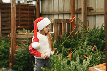 A girl chooses a christmas tree for sale at a shop