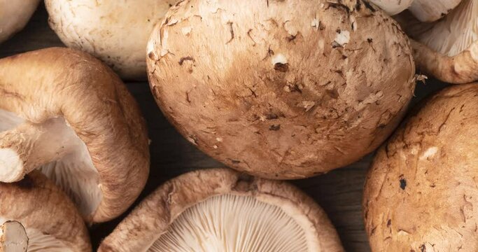 Shitake, portobello and paris mushrooms over wooden table