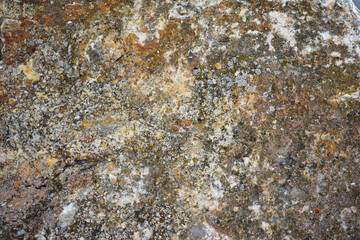 Abstract, natural and high resolution textures.