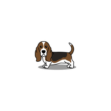 Cute basset hound dog cartoon, vector illustration