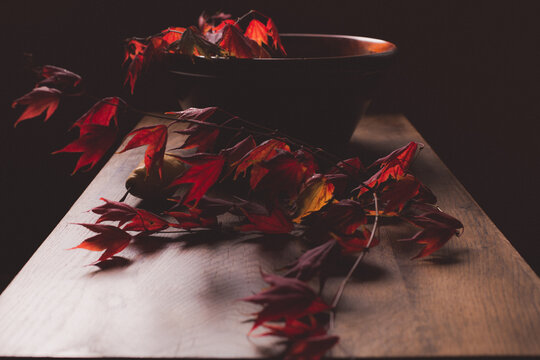 Brilliant red autumn maple leaves on wooden table in deep shadow