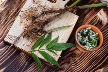 Fresh Valeriana officinalis flowers in wooden mortar. Valerian tablets among white flowers are on...