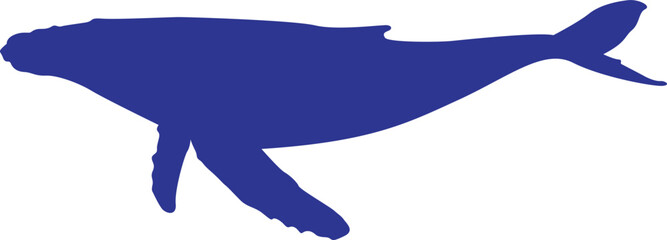 A whale silhouette for logos and graphic design. © Behemoth Digital