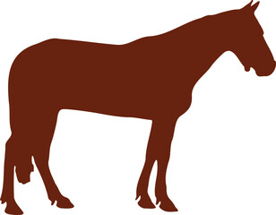 Obraz premium A horse silhouette for logos and graphic design.