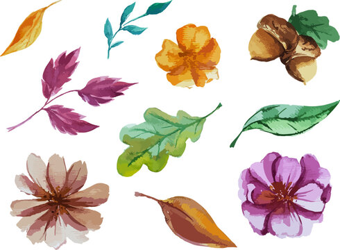 Hand drawn vector watercolor flowers. Set of watercolor elements for decoration. Decor. Clip art. Flowers. Leaves. Autumn. Design. Texture.