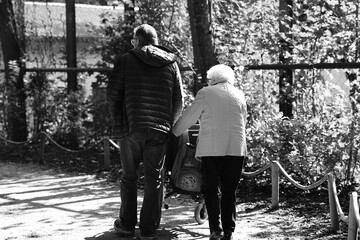 couple walking in the park