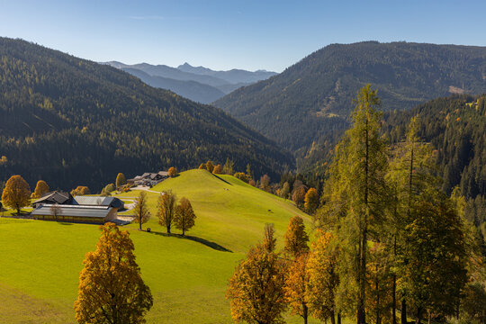A beautiful view of a bright yellow field against the backdrop of distant mountains. The Dachstein mountain range.