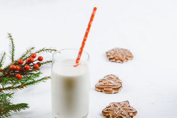 Milk and Christmas cookies for Santa. Christmas background. gingerbread cookies