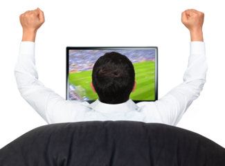Gesture series, football fan watches a football game on TV and raises his hands.