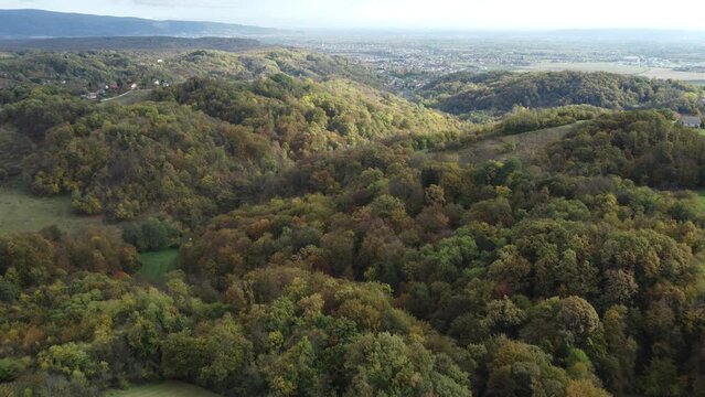 deciduous forest, early autumn, shot by drone, approximately 30 meters above, late afternoon, almost vertical angle of view
