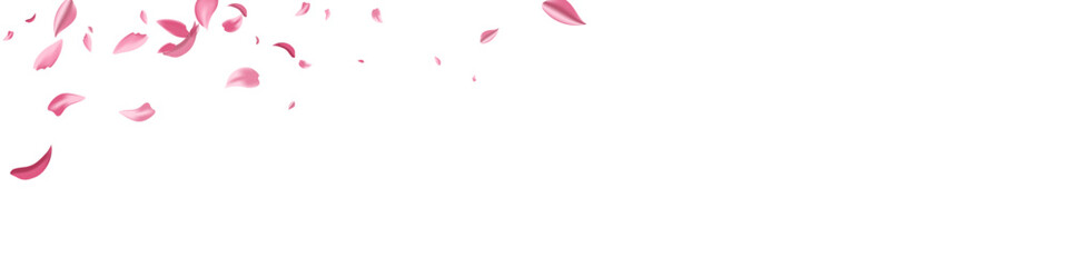 Red Peach Spring Vector Transparent Panoramic