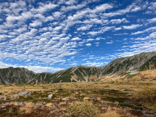 landscape with blue sky