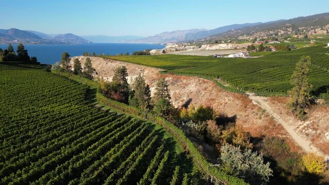 Naramata Bench Winery Vineyard Penticton Okanagan Valley
