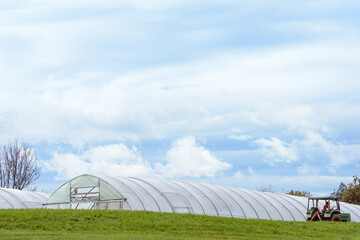 Greenhouse tunnel with tractor, vegetable growing, copyspace