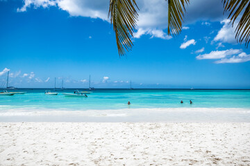 Fototapeta na wymiar Coconut Palm trees on white sandy beach in Punta Cana, Dominican Republic. High quality photo