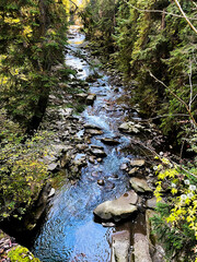 Clear water in the spring Carpathian forest river landscape