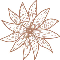 flower line art