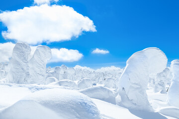 Fototapeta na wymiar 山形蔵王の白銀世界の樹氷